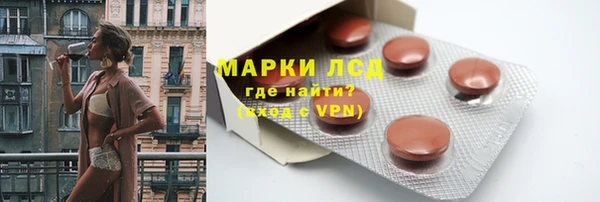 прущие грибы Мегион